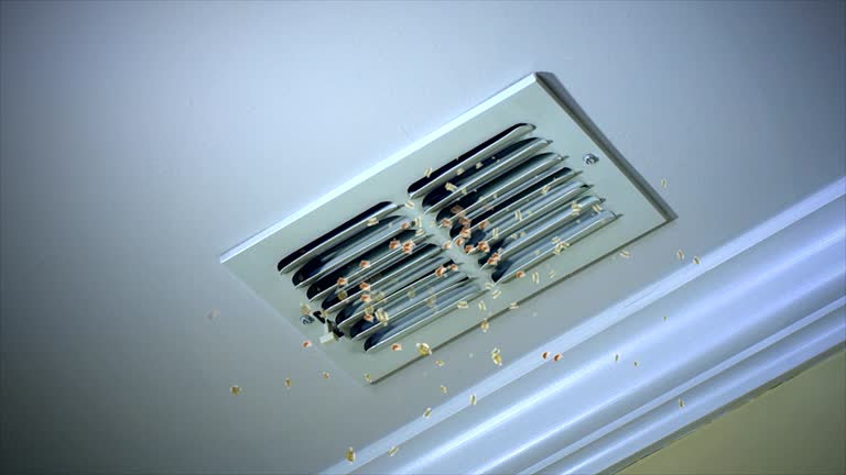 Affordable HVAC Duct Cleaning in River Grove, IL