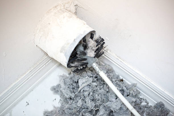 Best Local Air Duct Cleaning Services  in River Grove, IL