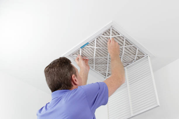 Best Home Air Vent Cleaning  in River Grove, IL